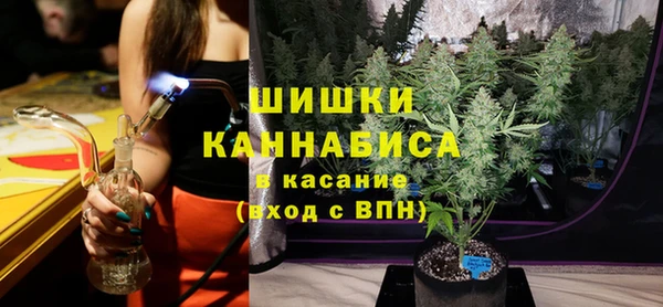 спиды Горняк
