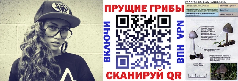 Псилоцибиновые грибы Psilocybine cubensis  Добрянка 